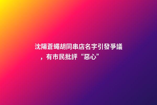 沈陽蒼蠅胡同串店名字引發爭議，有市民批評“惡心”-第1張-店鋪起名-玄機派